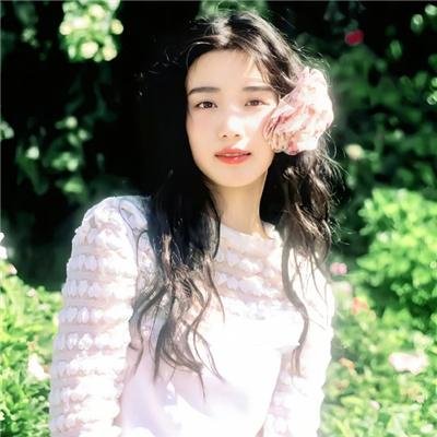 救援狗